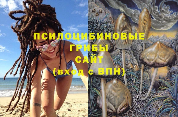 бошки Волоколамск