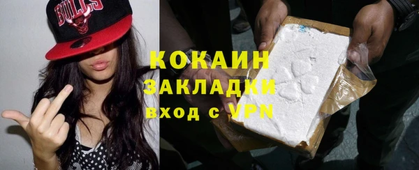 индика Волосово