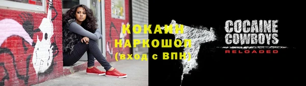 индика Волосово