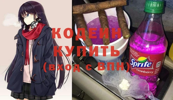 индика Волосово