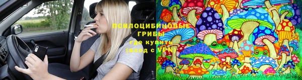 бошки Волоколамск