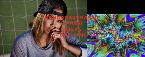 индика Волосово