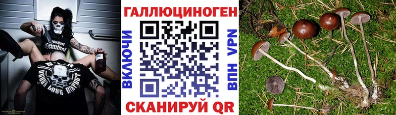 Галлюциногенные грибы мицелий  Купить закладки  Верхний Тагил 